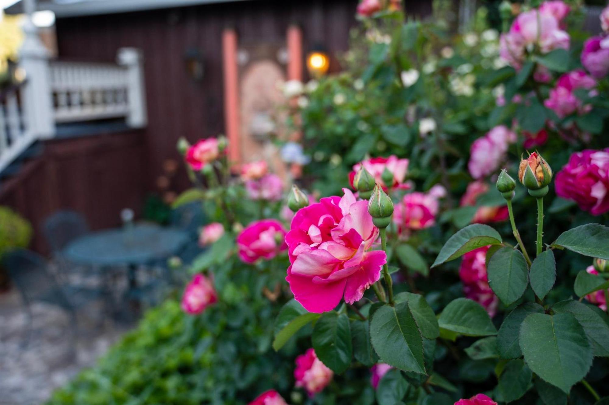 Gunn House Hotel Сонора Екстериор снимка